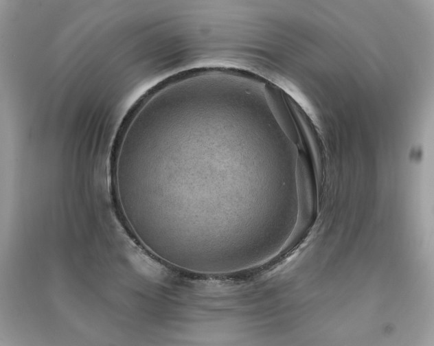 X0000091290980200708101243