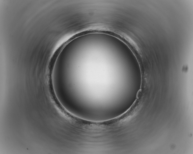 X0000091290981200708101243