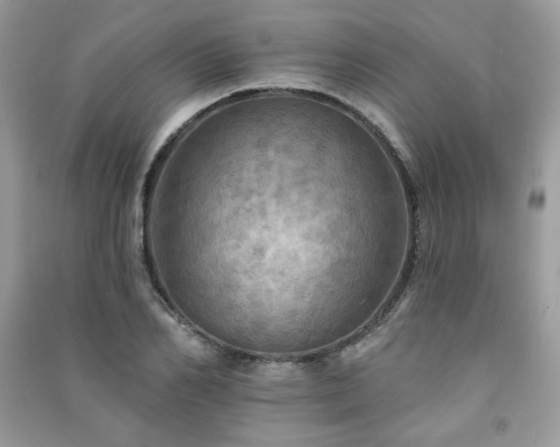 X0000091290982200708101243