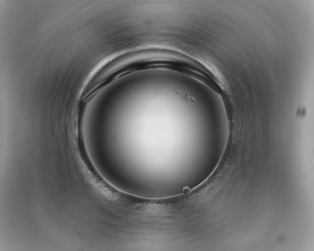 X0000091290984200708101242