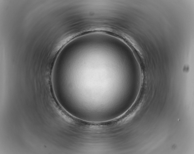 X0000091290985200708101242