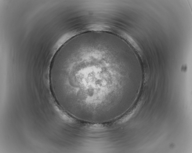 X0000091290986200708101242