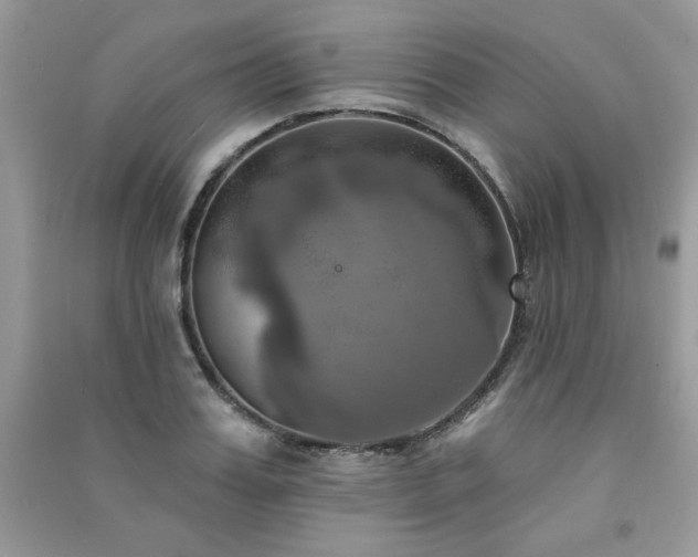 X0000091290987200708101242