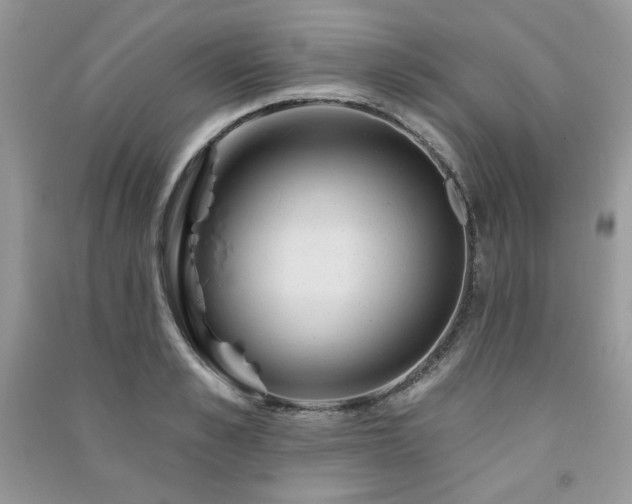 X0000091290989200708101242