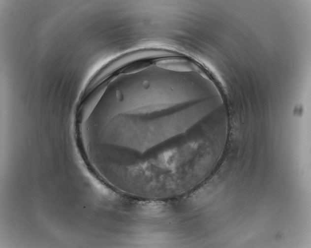 X0000091290991200708101242