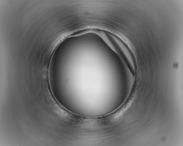 X0000091290993200708101242