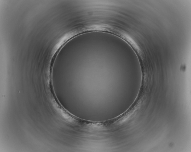 X0000091290994200708101242