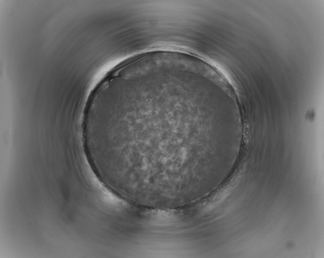 X0000091290995200708101242