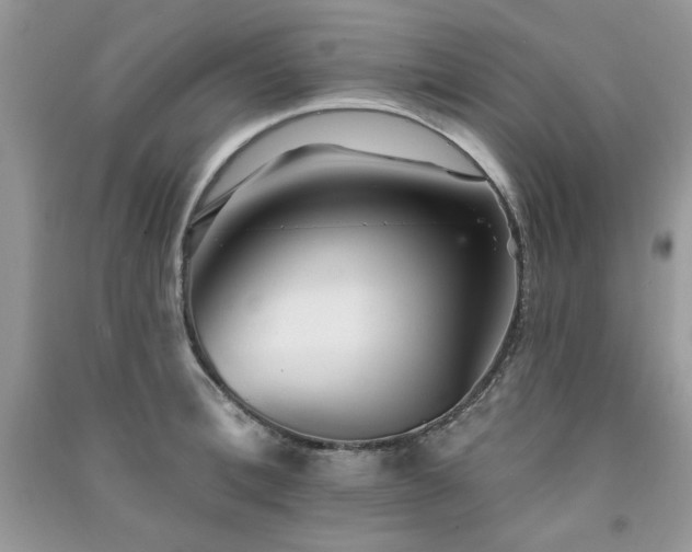 X0000091290996200708101242