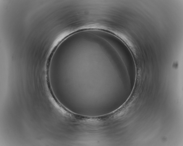 X0000091290998200708101242