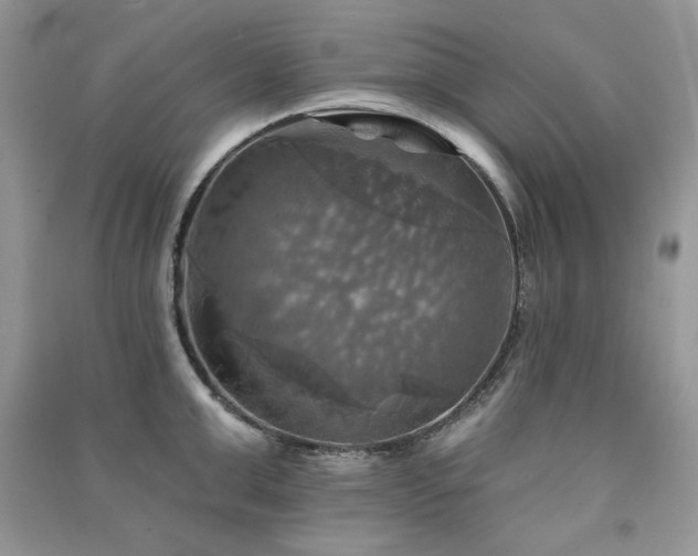 X0000091290999200708101242