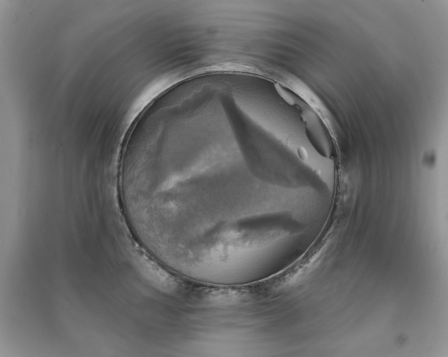 X0000091291002200708101242