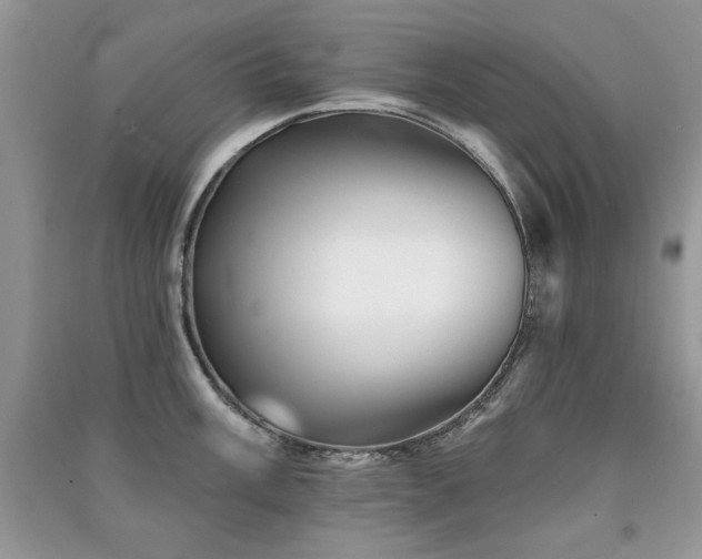 X0000091291003200708101242