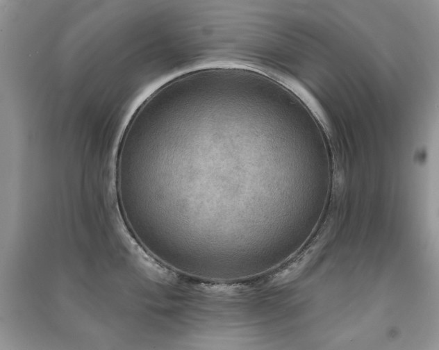 X0000091291004200708101242