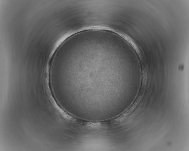 X0000091291006200708101242