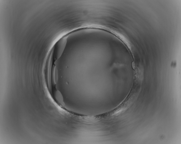 X0000091291007200708101242