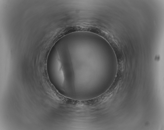 X0000091291009200708101241