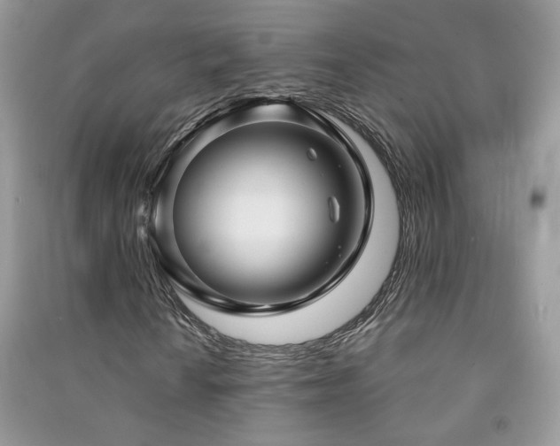 X0000091291010200708101241