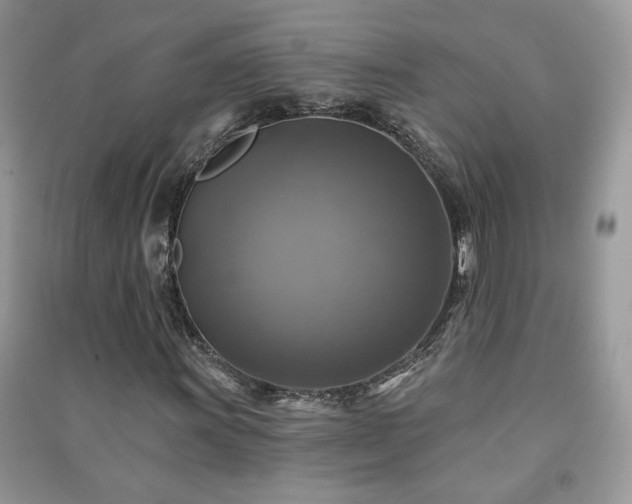 X0000091291011200708101241