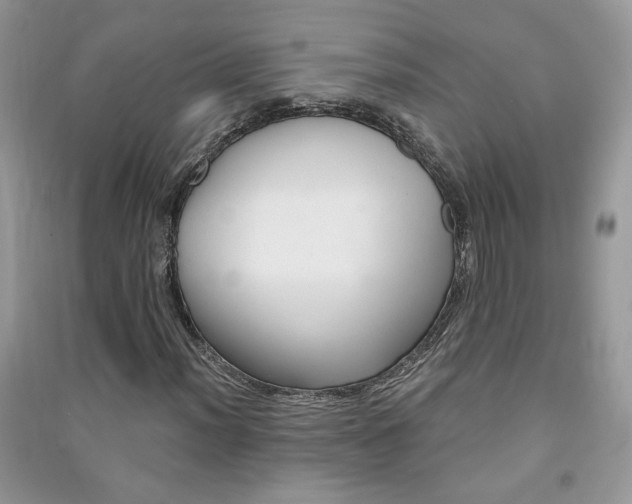 X0000091291012200708101241