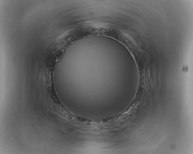 X0000091291013200708101241