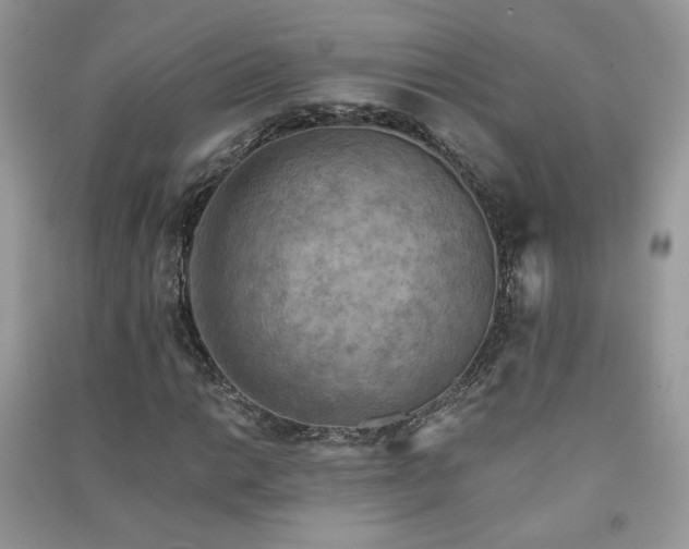 X0000091291014200708101241