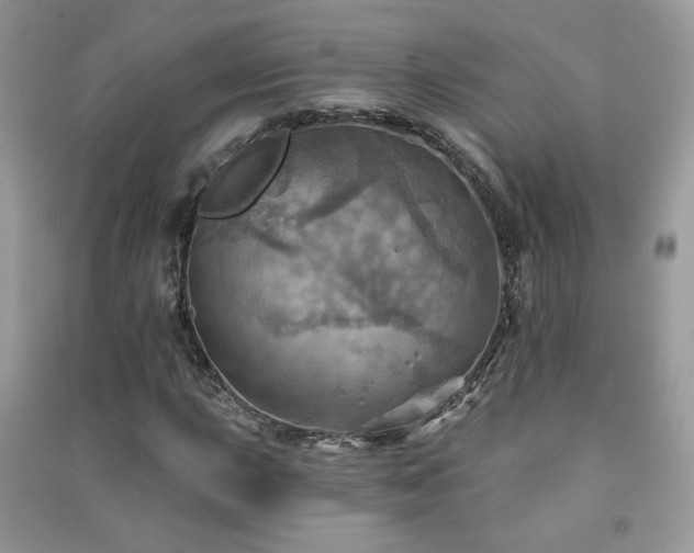 X0000091291015200708101241