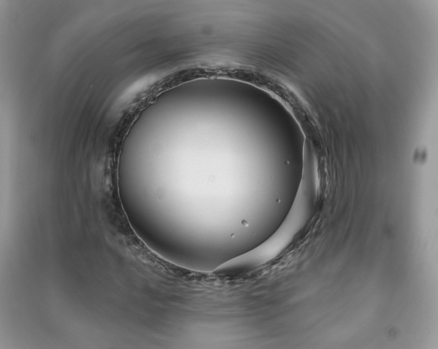 X0000091291016200708101241