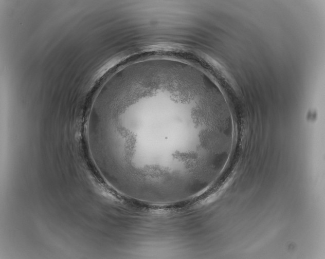 X0000091291017200708101242