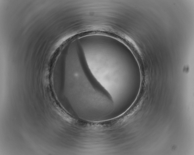 X0000091291019200708101242