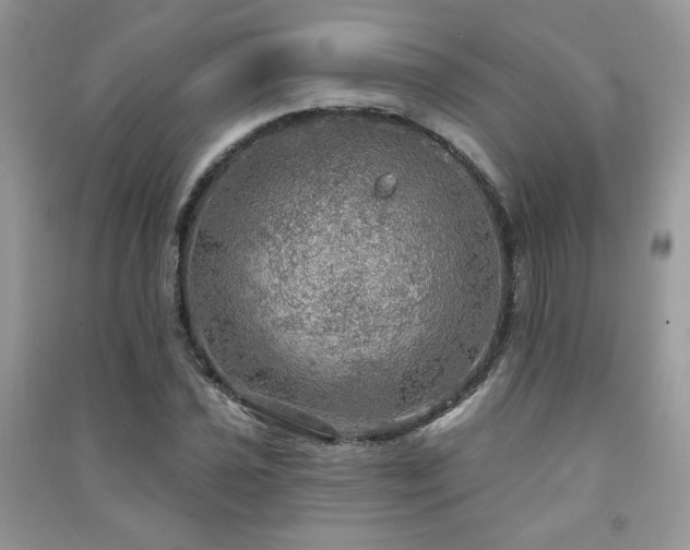 X0000091291021200708101242