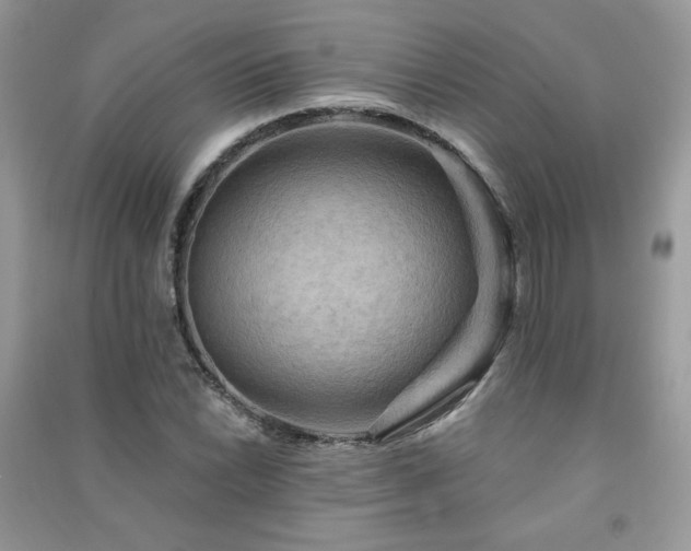 X0000091291022200708101242