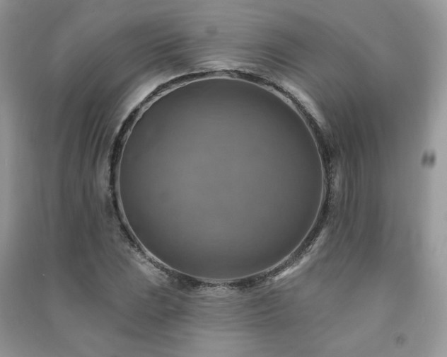 X0000091291023200708101242