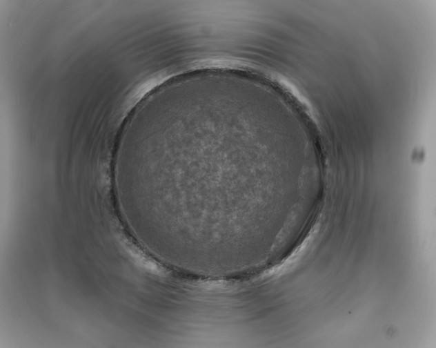 X0000091291025200708101242