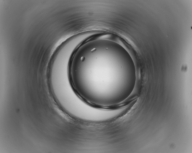 X0000091291026200708101242