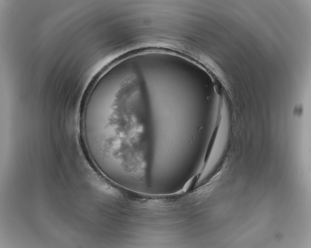 X0000091291028200708101242