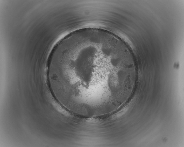 X0000091291029200708101242