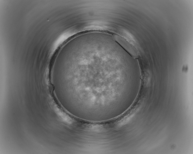 X0000091291030200708101242