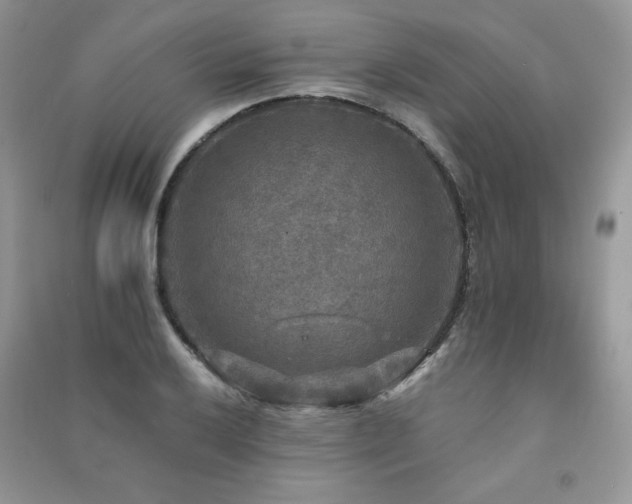 X0000091291032200708101242