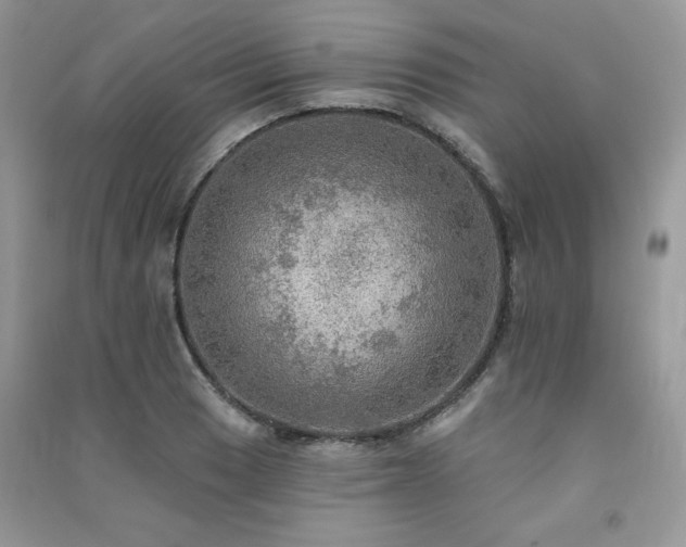 X0000091291033200708101242