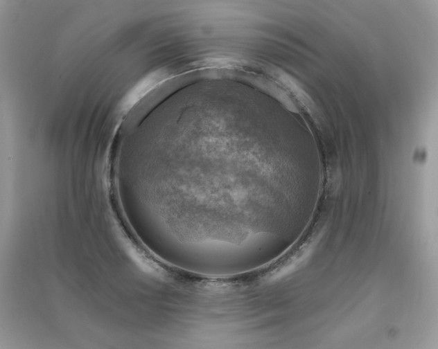 X0000091291034200708101242