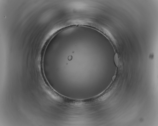 X0000091291035200708101242