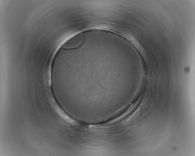 X0000091291036200708101242