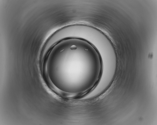 X0000091291038200708101242