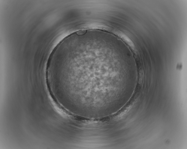 X0000091291039200708101242