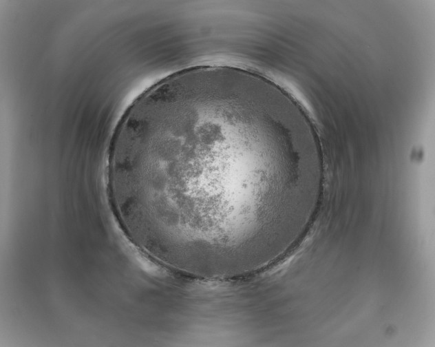 X0000091291040200708101242