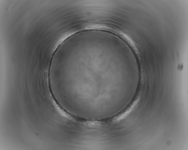 X0000091291041200708101242