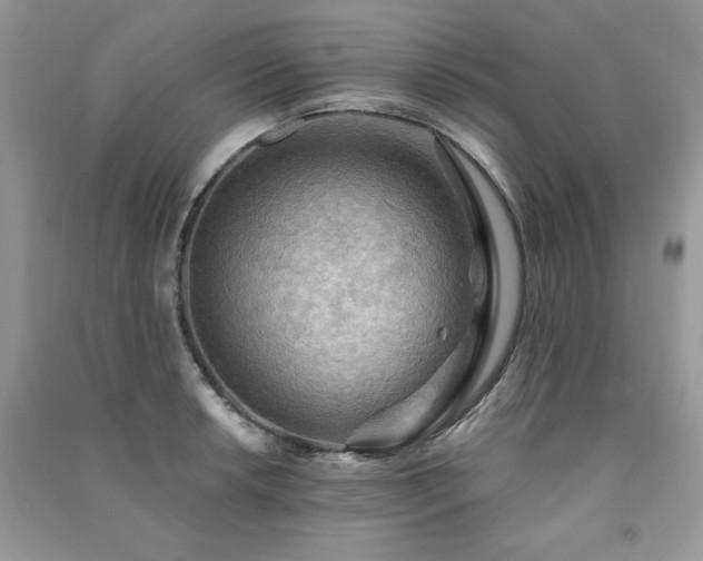 X0000091291042200708101242