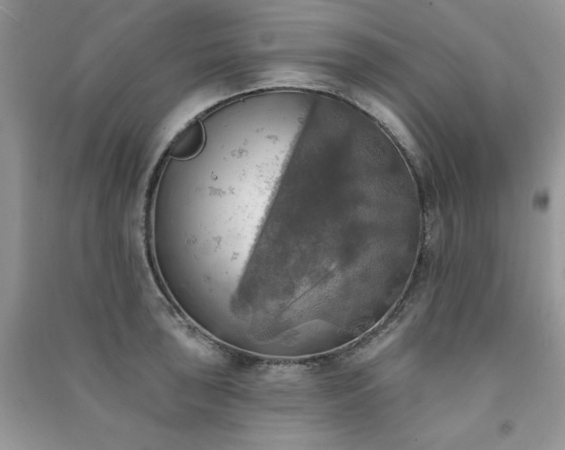 X0000091291043200708101242