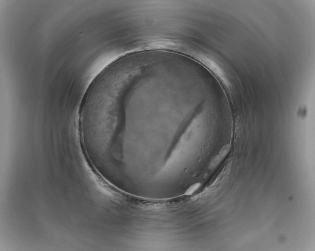 X0000091291047200708101242